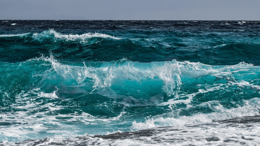 blog9